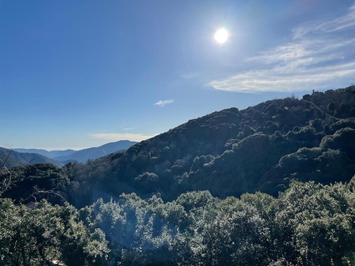Sud-Corse Bavella Location Montagne Et Mer Sorbollano Kültér fotó