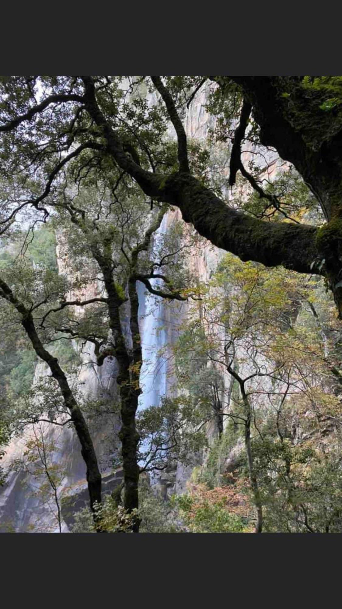 Sud-Corse Bavella Location Montagne Et Mer Sorbollano Kültér fotó